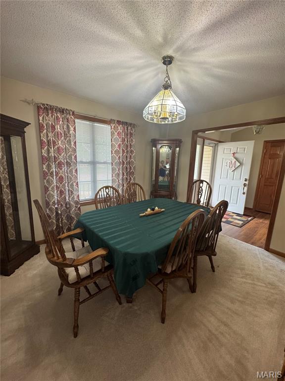 300 Kingsbury Ct, Highland, IL 62249 - photo 5