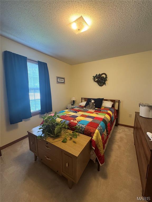 300 Kingsbury Ct, Highland, IL 62249 - photo 18