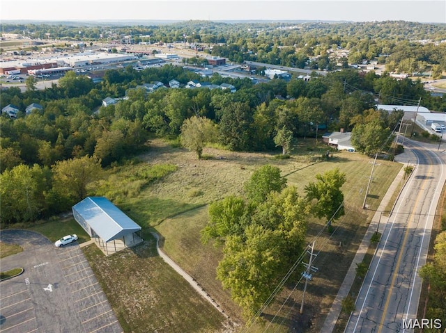 813 American Legion Dr, Festus, MO 63028 - photo 15
