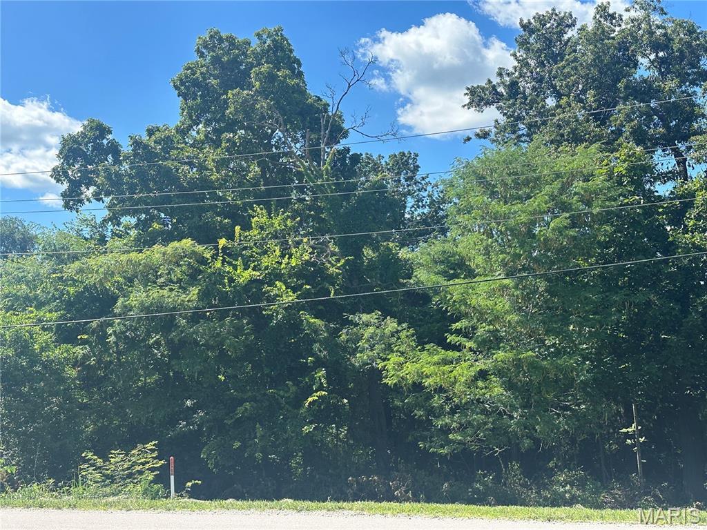 1207 E James Blvd, St James, MO 65559