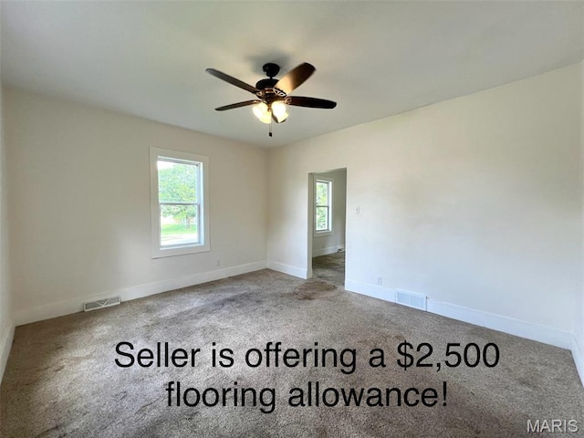 1306 Vandalia Rd, Hillsboro, IL 62049 - photo 16