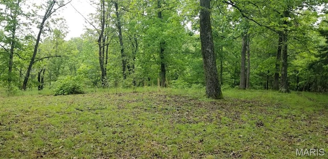 12/-ACRES Landing Trl, Lebanon, MO 65536 - photo 4