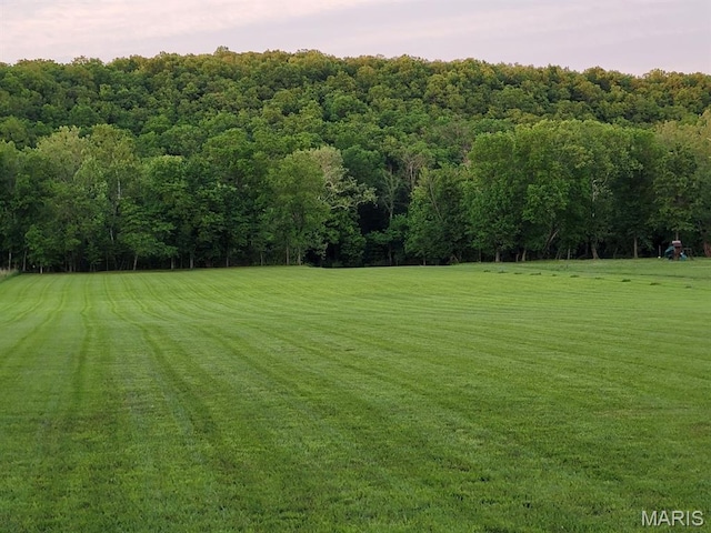 12/-ACRES Landing Trl, Lebanon, MO 65536 - photo 5