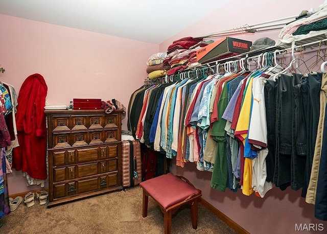 5600 Wickershire Ln, Mehlville, MO 63129 - photo 22
