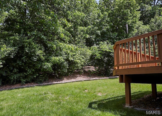 5600 Wickershire Ln, Mehlville, MO 63129 - photo 30
