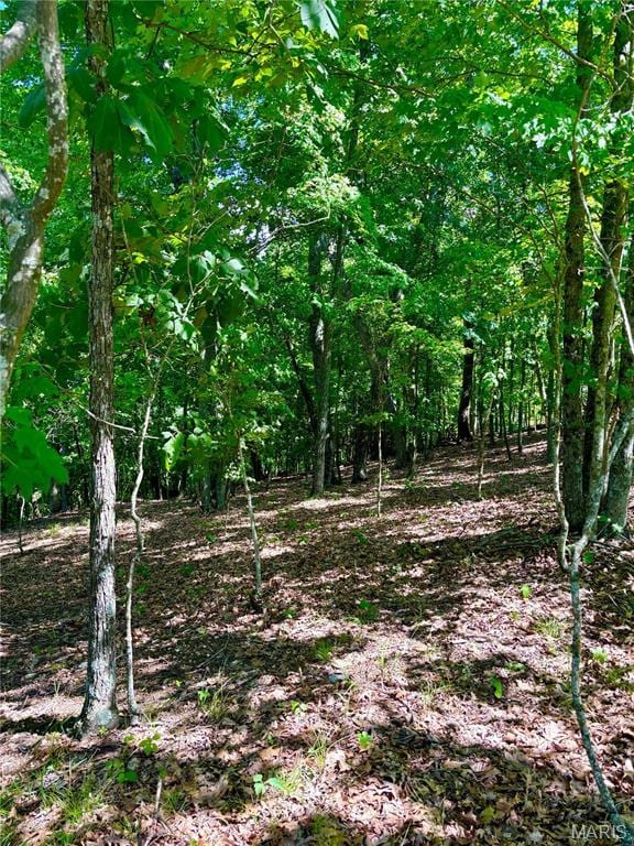 5022 Squire Ln, Cedar Hill, MO 63016