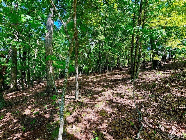 5022 Squire Ln, Cedar Hill, MO 63016