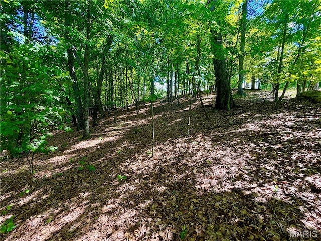 5022 Squire Ln, Cedar Hill, MO 63016