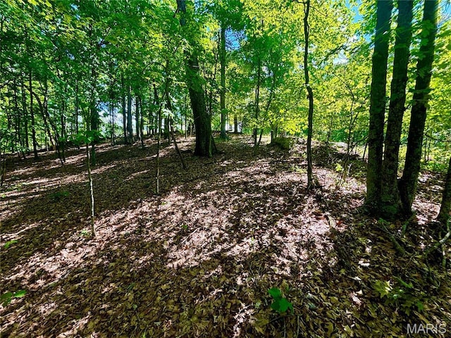 5022 Squire Ln, Cedar Hill, MO 63016