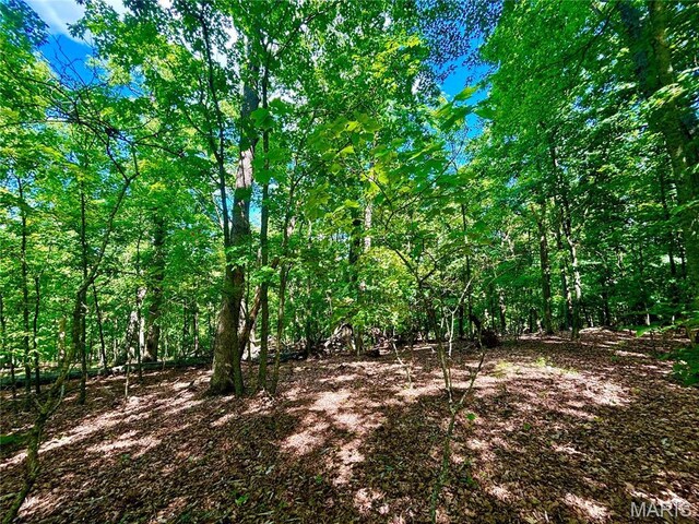 5022 Squire Ln, Cedar Hill, MO 63016