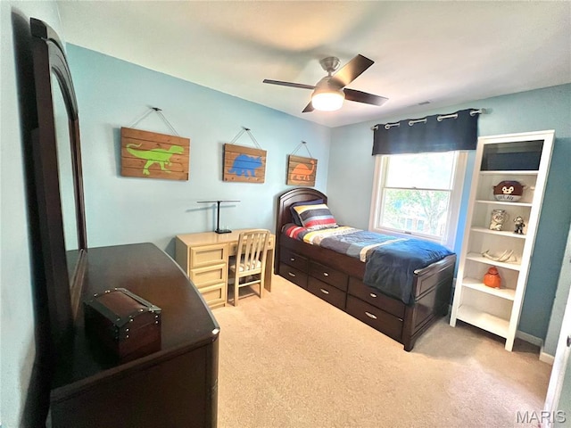 7806 Tanager Ct, Saint Louis, MO 63119 - photo 32