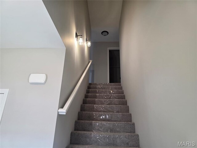 10107 Niblic Dr, Overland, MO 63114 - photo 13
