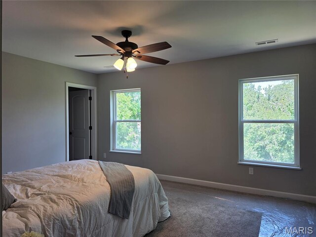 10107 Niblic Dr, Overland, MO 63114 - photo 14