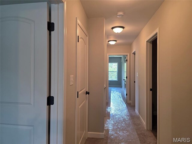 10107 Niblic Dr, Overland, MO 63114 - photo 18