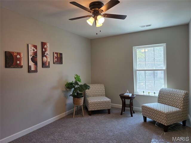 10107 Niblic Dr, Overland, MO 63114 - photo 23