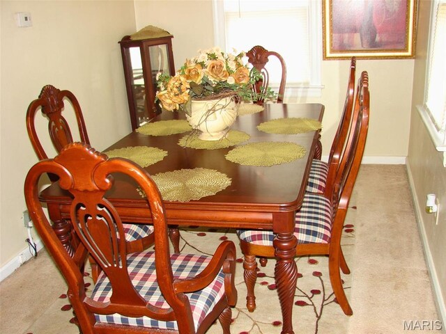 29 S 57th St Unit 2, Belleville, IL 62226 - photo 8