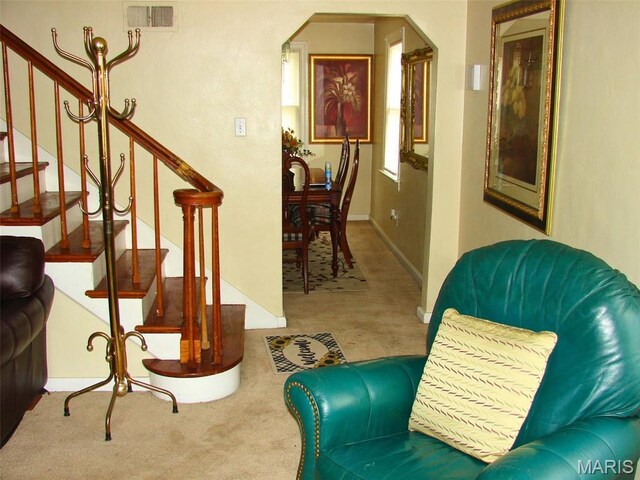 29 S 57th St Unit 2, Belleville, IL 62226 - photo 10
