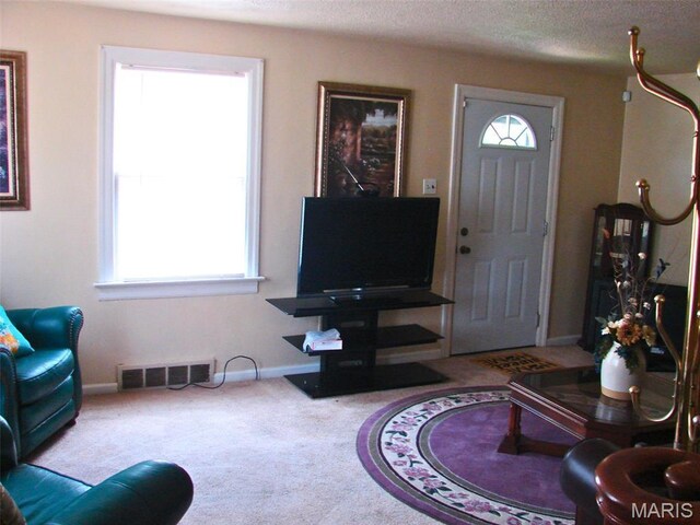 29 S 57th St Unit 2, Belleville, IL 62226 - photo 12