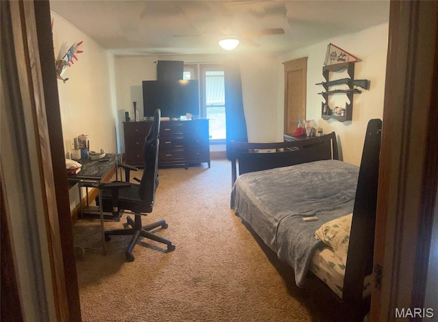 412 W College Ave, Shelbina, MO 63468 - photo 10