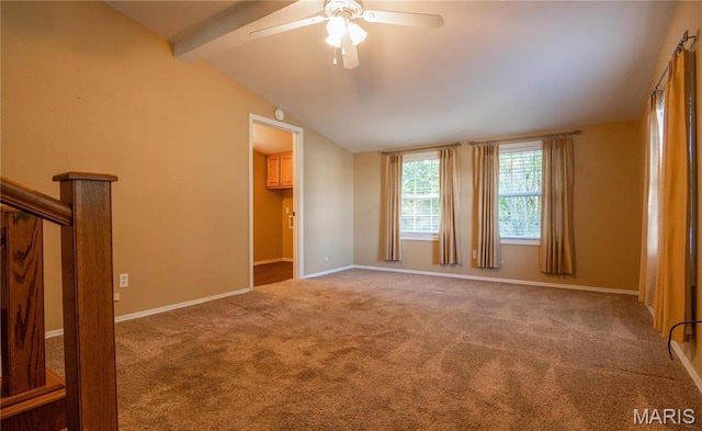 12191 County Road 637, Dexter, MO 63841 - photo 22