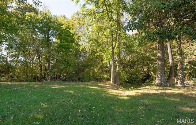 12191 County Road 637, Dexter, MO 63841 - photo 47