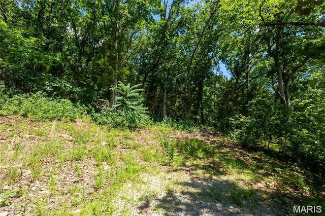 143 Long Oaks Dr, Imperial, MO 63052 - photo 5