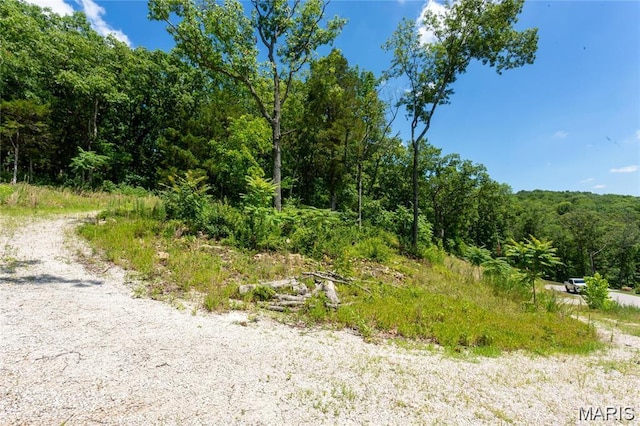 143 Long Oaks Dr, Imperial, MO 63052 - photo 7