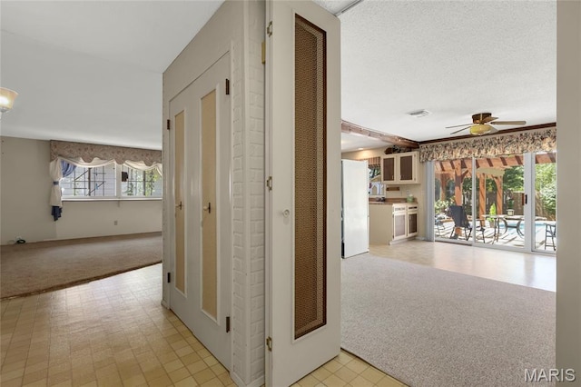 685 Stafford Ln, Florissant, MO 63033 - photo 3
