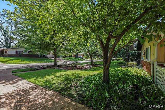 685 Stafford Ln, Florissant, MO 63033 - photo 24