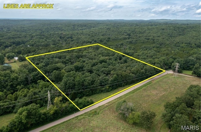 1 Hillsboro Rd, Bonne Terre, MO 63628 - photo 1
