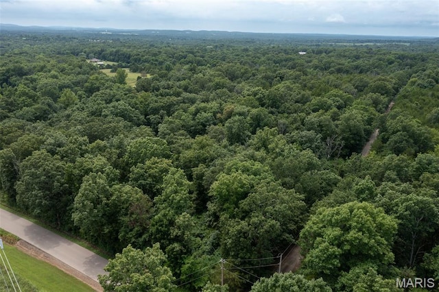 1 Hillsboro Rd, Bonne Terre, MO 63628 - photo 3
