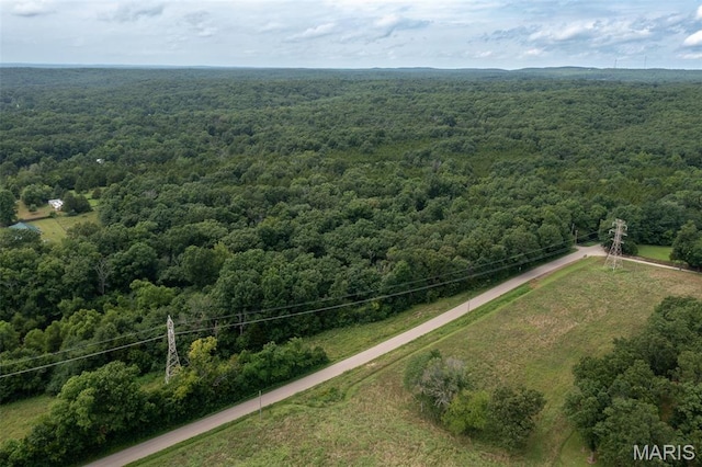 1 Hillsboro Rd, Bonne Terre, MO 63628 - photo 4