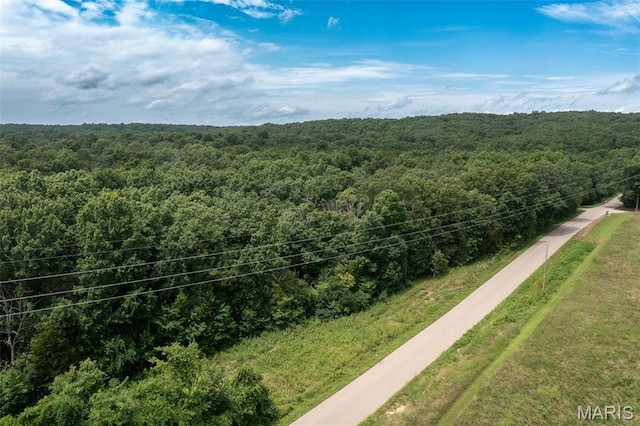 1 Hillsboro Rd, Bonne Terre, MO 63628 - photo 5