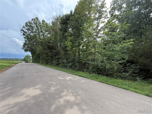 1 Hillsboro Rd, Bonne Terre, MO 63628 - photo 6