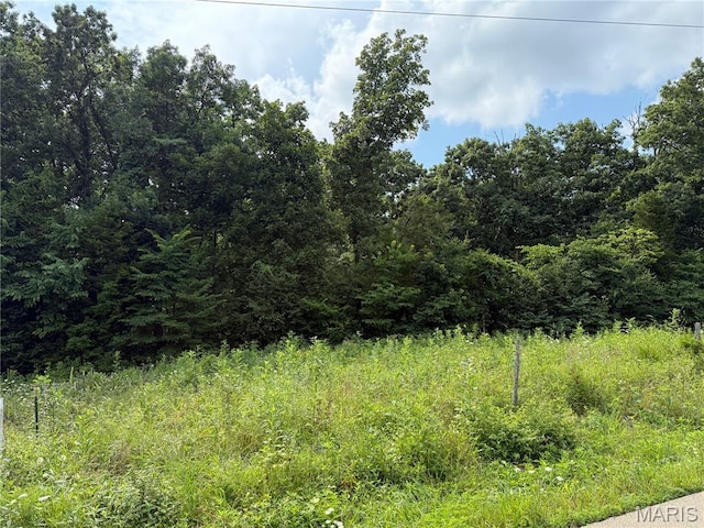 1 Hillsboro Rd, Bonne Terre, MO 63628 - photo 8