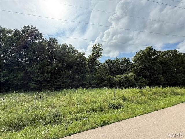1 Hillsboro Rd, Bonne Terre, MO 63628 - photo 10
