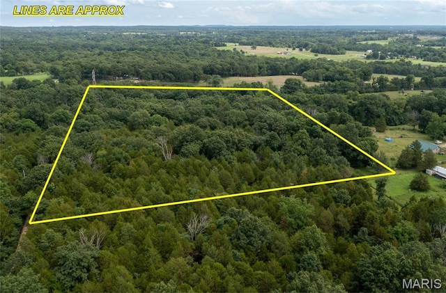 1 Hillsboro Rd, Bonne Terre, MO 63628 - photo 11