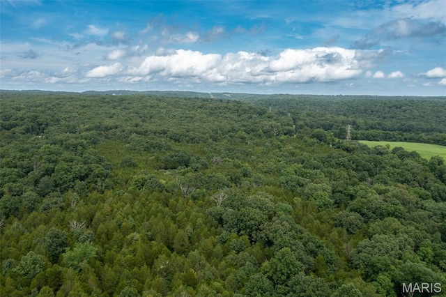 1 Hillsboro Rd, Bonne Terre, MO 63628 - photo 16