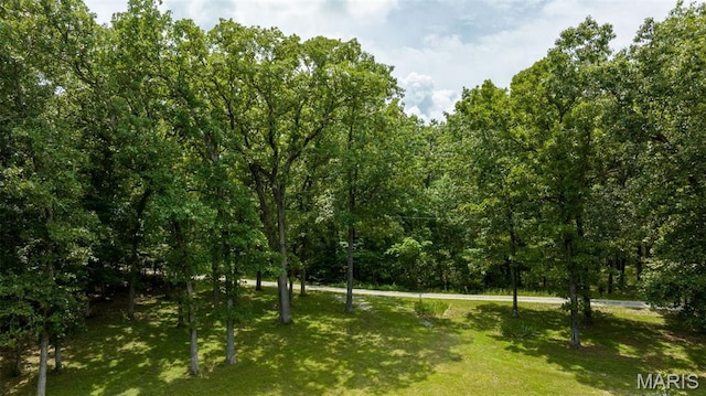 8911 Running Deer Dr, Dittmer, MO 63023 - photo 6