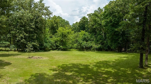 8911 Running Deer Dr, Dittmer, MO 63023 - photo 7