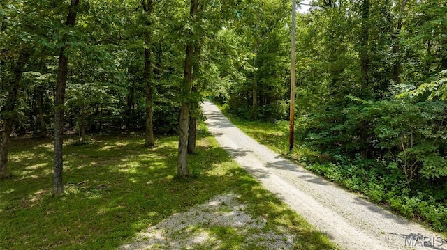 8911 Running Deer Dr, Dittmer, MO 63023 - photo 8