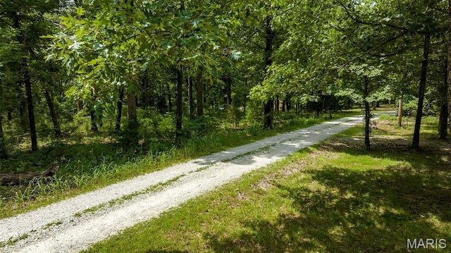 8911 Running Deer Dr, Dittmer, MO 63023 - photo 9