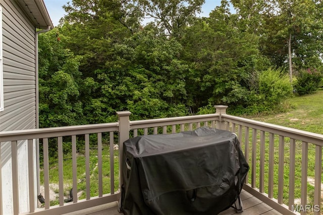 104 Red Clover Ct, Cedar Hill, MO 63016 - photo 60