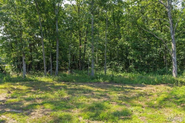 835 67th Hwy, Farmington, MO 63640 - photo 17