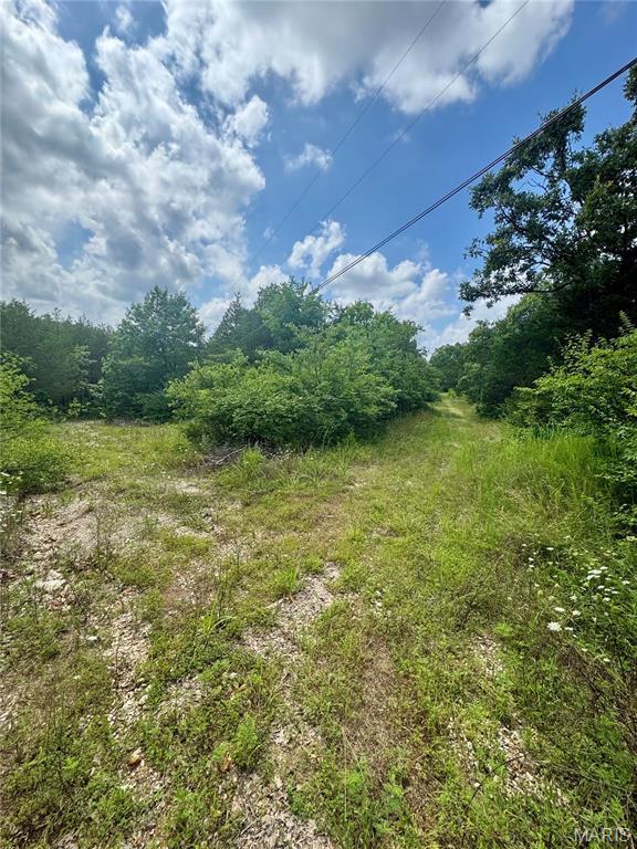 2669 Frederick Rd, Festus, MO 63028 - photo 2