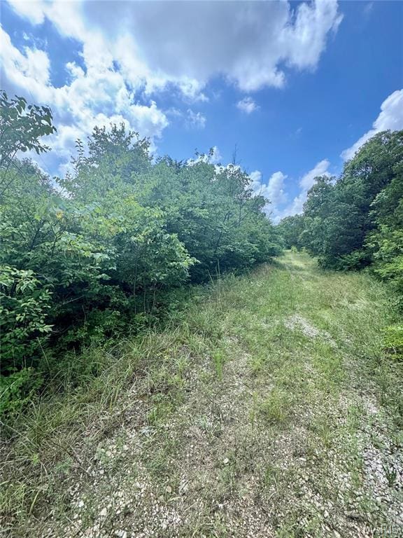 2669 Frederick Rd, Festus, MO 63028 - photo 3