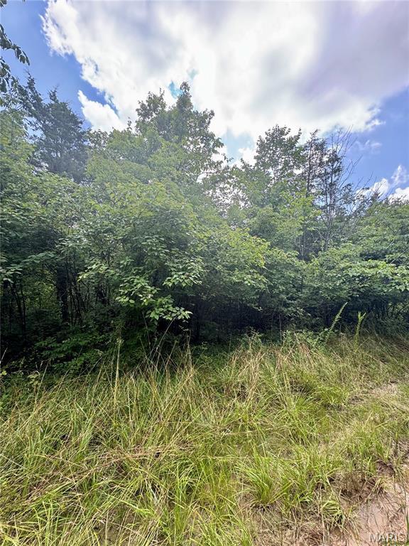 2669 Frederick Rd, Festus, MO 63028 - photo 4