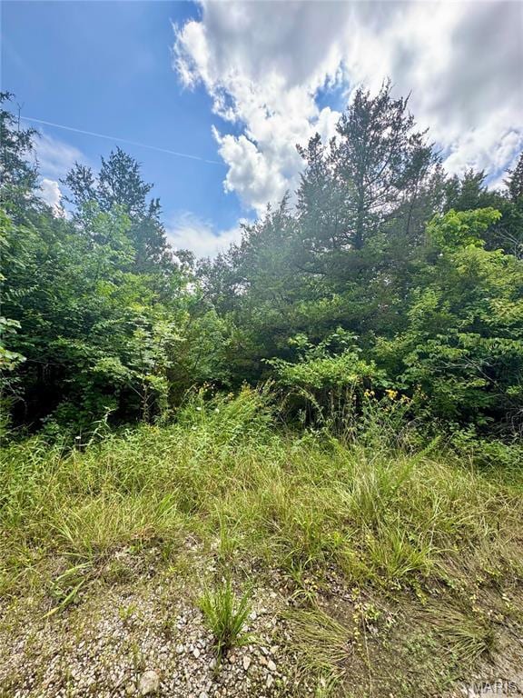 2669 Frederick Rd, Festus, MO 63028 - photo 5