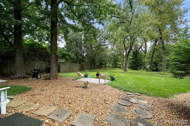 13 Ladue Crest Ln, Saint Louis, MO 63124 - photo 42