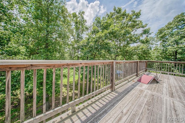 3261 Hwy W, Salem, MO 65560 - photo 32